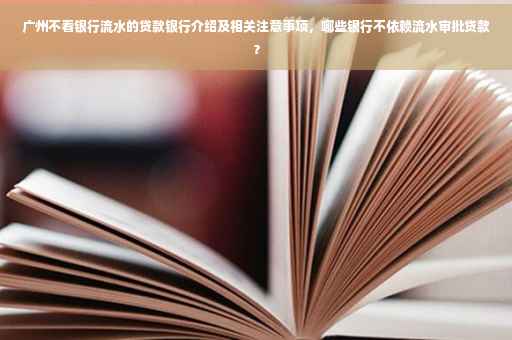 广州不看银行流水的贷款银行介绍及相关注意事项，哪些银行不依赖流水审批贷款？