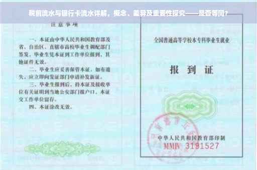 税前流水与银行卡流水详解，概念、差异及重要性探究——是否等同？
