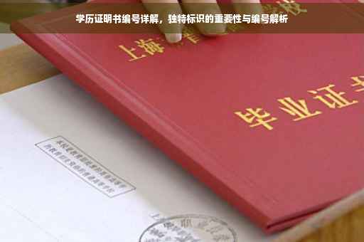 学历证明书编号详解，独特标识的重要性与编号解析