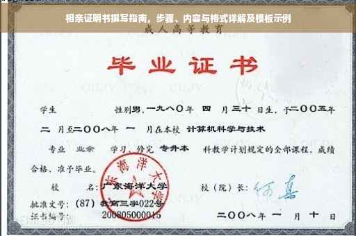 相亲证明书撰写指南，步骤、内容与格式详解及模板示例