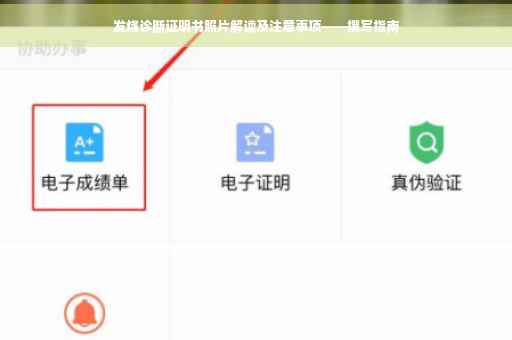 发烧诊断证明书照片解读及注意事项——撰写指南