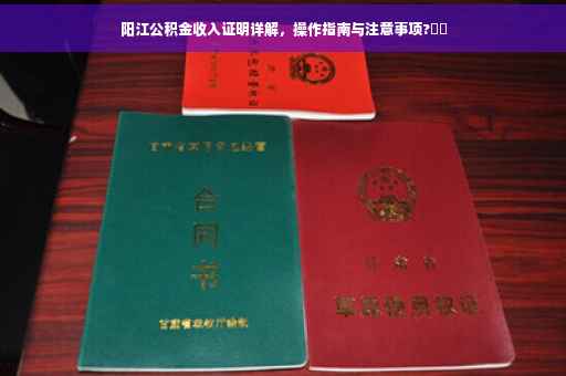 阳江公积金收入证明详解，操作指南与注意事项?⚡️