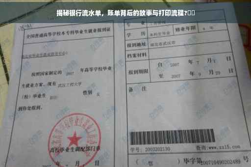 揭秘银行流水单，账单背后的故事与打印流程?⚡️