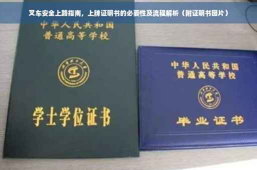 叉车安全上路指南，上牌证明书的必要性及流程解析（附证明书图片）