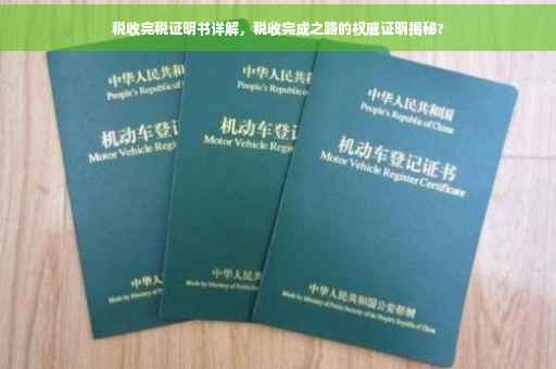 税收完税证明书详解，税收完成之路的权威证明揭秘?