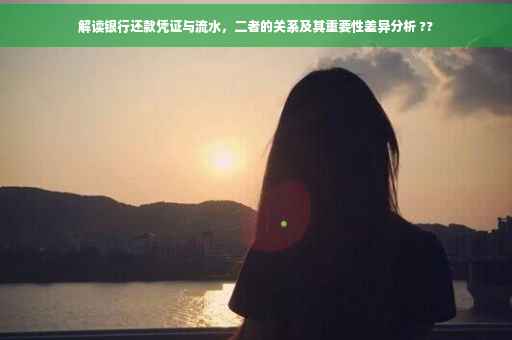 解读银行还款凭证与流水，二者的关系及其重要性差异分析 ??