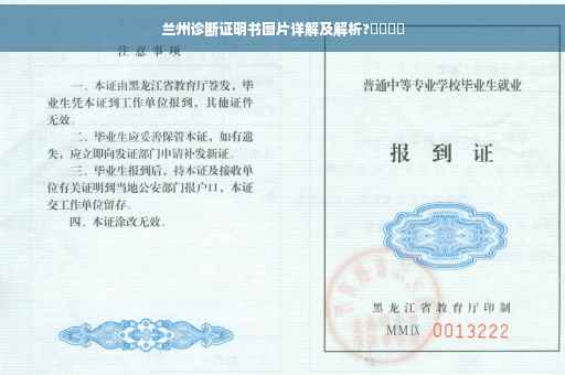 兰州诊断证明书图片详解及解析?​​​​
