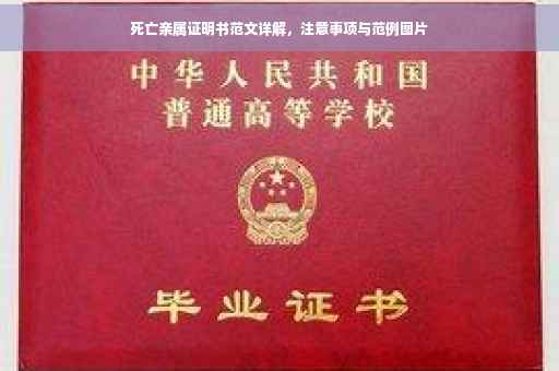 死亡亲属证明书范文详解，注意事项与范例图片