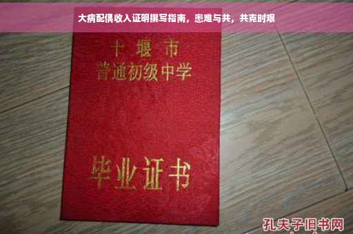 大病配偶收入证明撰写指南，患难与共，共克时艰