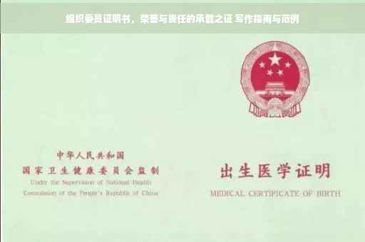 组织委员证明书，荣誉与责任的承载之证 写作指南与范例