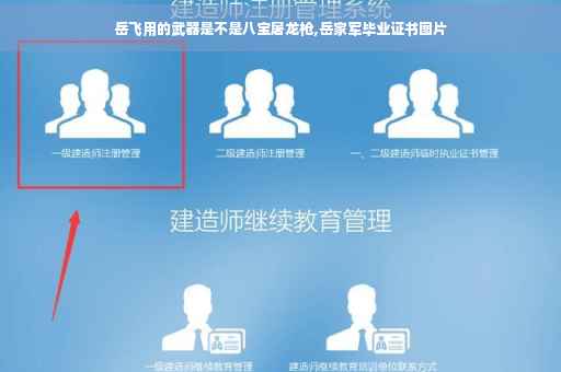 岳飞用的武器是不是八宝屠龙枪,岳家军毕业证书图片