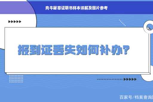 肉牛屠宰证明书样本详解及图片参考