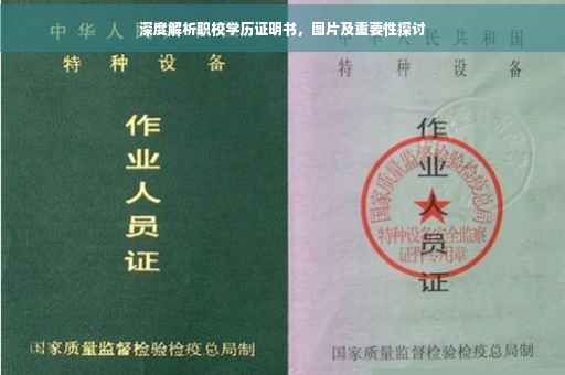深度解析职校学历证明书，图片及重要性探讨