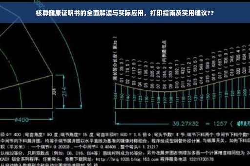 核算健康证明书的全面解读与实际应用，打印指南及实用建议??