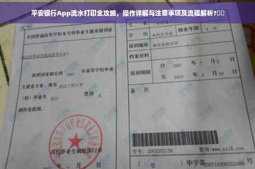 平安银行App流水打印全攻略，操作详解与注意事项及流程解析?⚡️