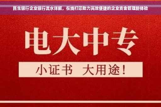民生银行企业银行流水详解，在线打印助力高效便捷的企业资金管理新体验