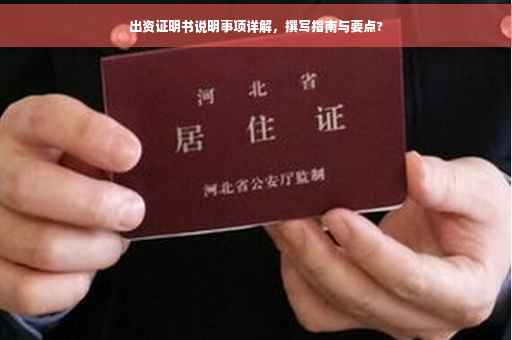 出资证明书说明事项详解，撰写指南与要点?