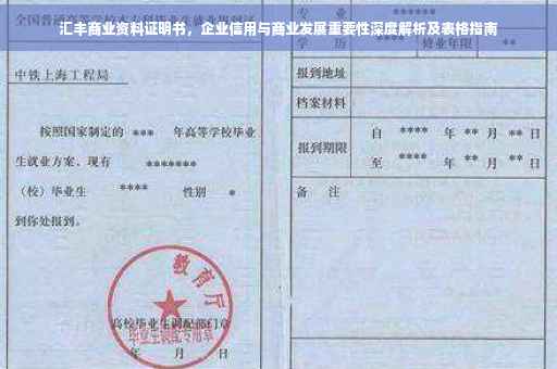 汇丰商业资料证明书，企业信用与商业发展重要性深度解析及表格指南