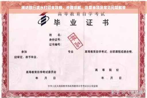 潍坊银行流水打印全攻略，步骤详解、注意事项及常见问题解答