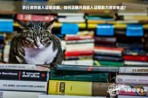 农行房贷收入证明详解，如何正确开具收入证明助力房贷申请？