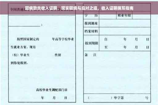 因病致贫收入证明，现实困境与应对之道，收入证明撰写指南