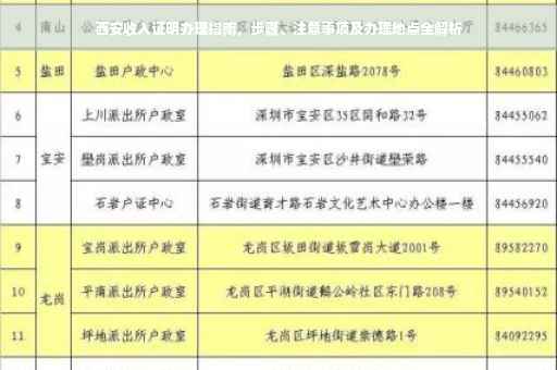西安收入证明办理指南，步骤、注意事项及办理地点全解析