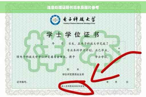 违章处理证明书范本及图片参考
