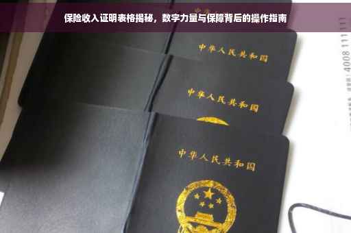 保险收入证明表格揭秘，数字力量与保障背后的操作指南
