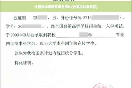 计算机比赛获奖证书图片(计算机比赛奖杯)