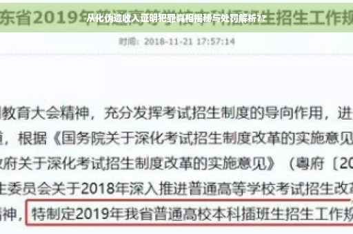 从化伪造收入证明犯罪真相揭秘与处罚解析??