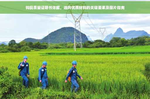 钨铜质量证明书详解，选购优质材料的关键要素及图片指南