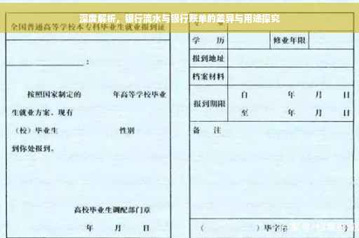 深度解析，银行流水与银行账单的差异与用途探究