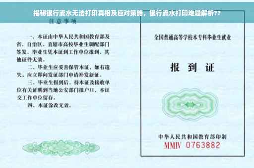 揭秘银行流水无法打印真相及应对策略，银行流水打印难题解析??