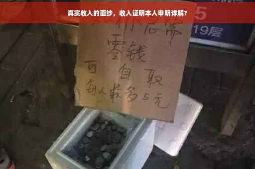 真实收入的面纱，收入证明本人申明详解?