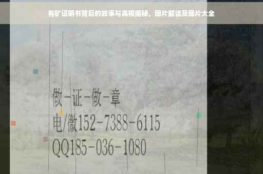 有矿证明书背后的故事与真相揭秘，图片解读及图片大全