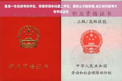 我是一名在校专科学生，想要获得本科第二学历，要怎么才能获得,自己如何报考大专学历证书