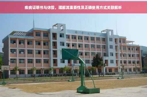 疾病证明书与休假，理解其重要性及正确使用方式关联解析