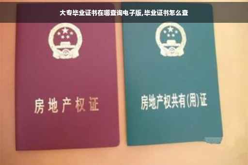 大专毕业证书在哪查询电子版,毕业证书怎么查