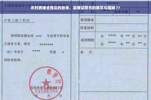 农村养猪业背后的故事，卖猪证明书的撰写与揭秘 ??
