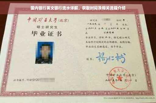 国内银行英文银行流水详解，获取时间及相关流程介绍