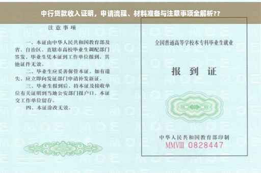 中行贷款收入证明，申请流程、材料准备与注意事项全解析??