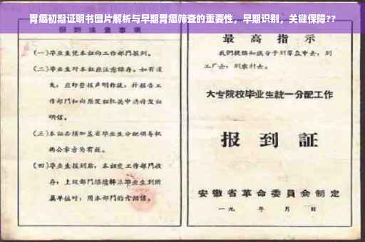 胃癌初期证明书图片解析与早期胃癌筛查的重要性，早期识别，关键保障??