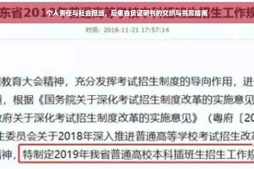 个人责任与社会担当，后果自负证明书的交织与书写指南