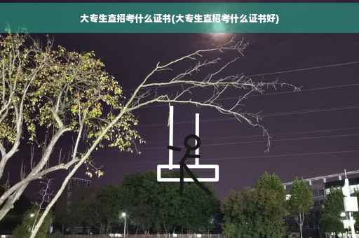 大专生直招考什么证书(大专生直招考什么证书好)