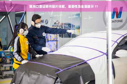 医用口罩证明书图片详解，重要性及全面展示 ??