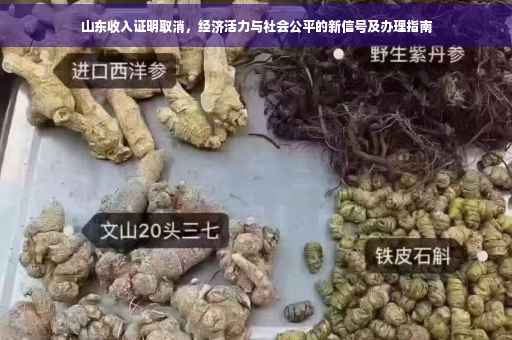 山东收入证明取消，经济活力与社会公平的新信号及办理指南