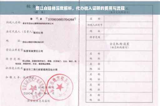 晋江自媒体深度解析，代办收入证明的费用与流程
