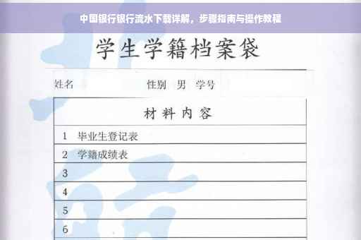 中国银行银行流水下载详解，步骤指南与操作教程
