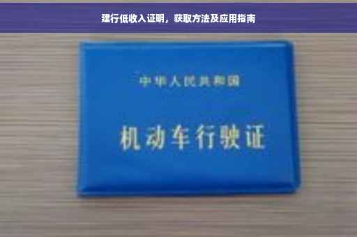 建行低收入证明，获取方法及应用指南
