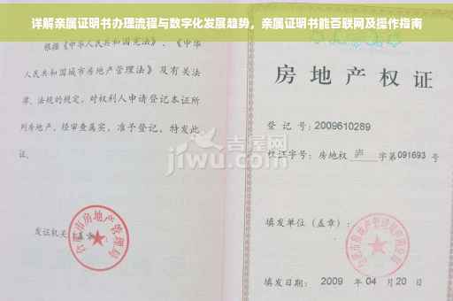 详解亲属证明书办理流程与数字化发展趋势，亲属证明书能否联网及操作指南
